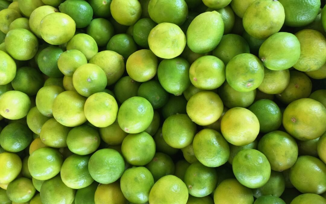 Quasi similique hic adipisci a rerum pariatur