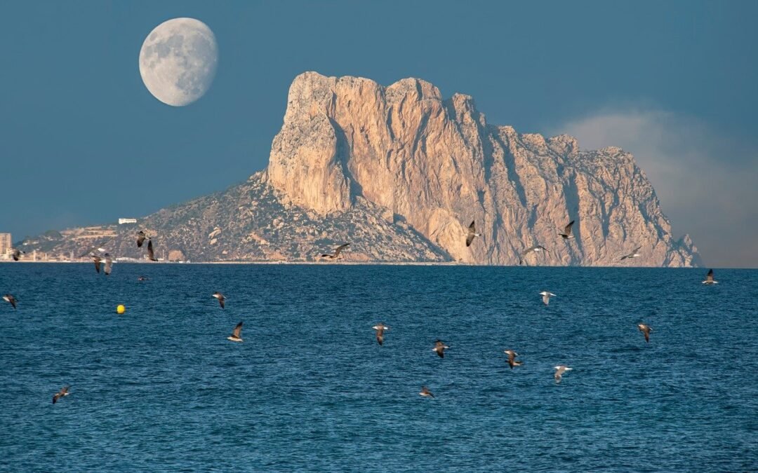 Assign Dynamic Content