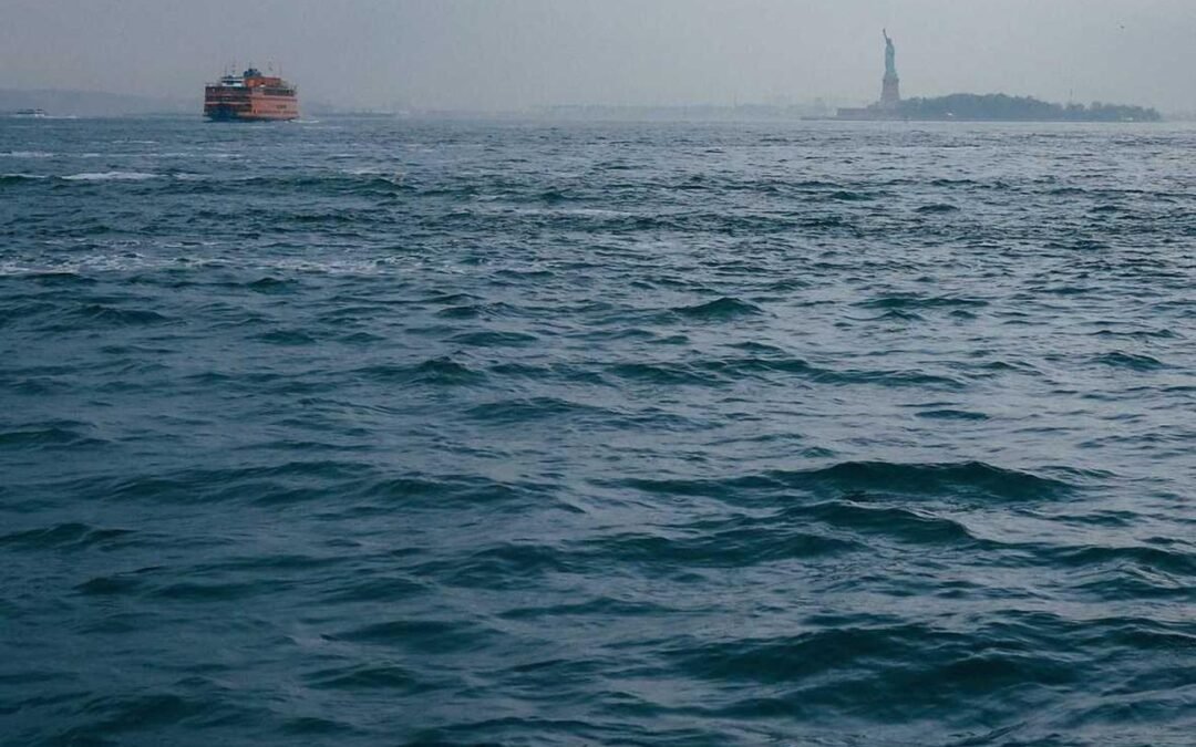 Nesciunt blanditiis cupiditate et nemo reiciendis placeat distinctio