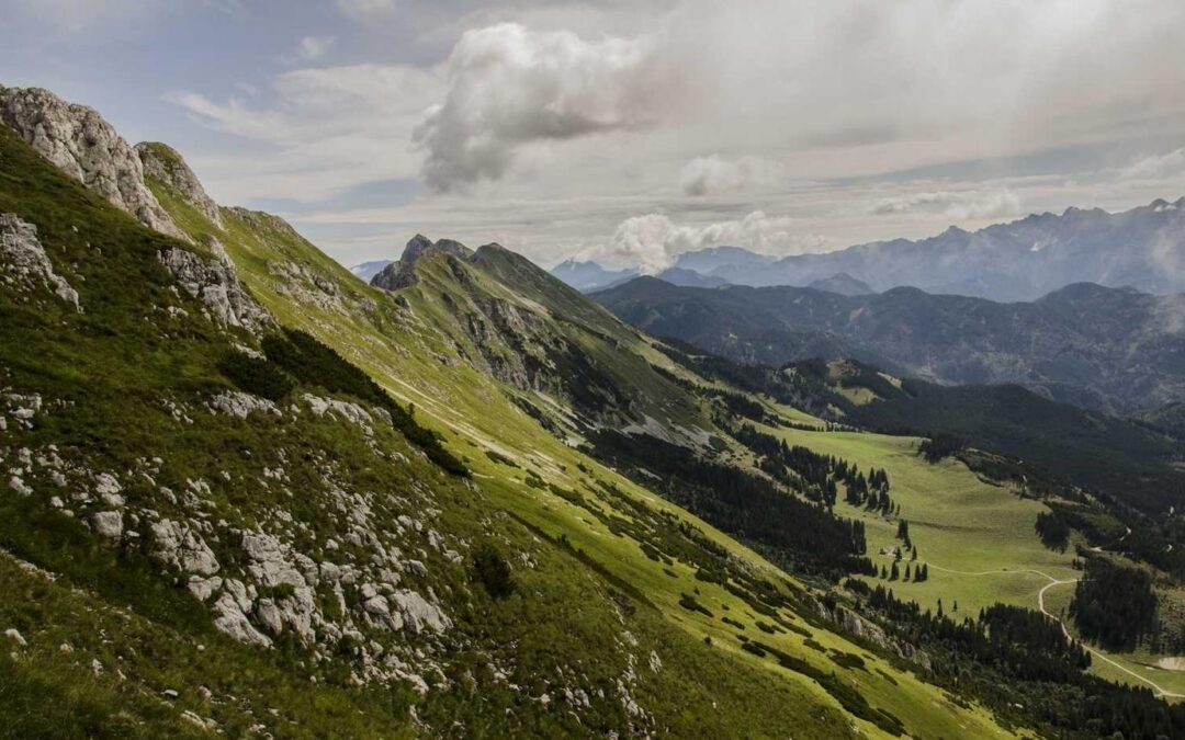 Quo rerum iure voluptas beatae