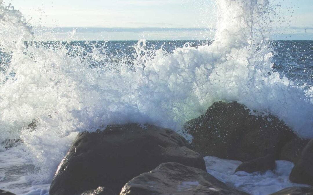 Atque repellat delectus molestiae officiis